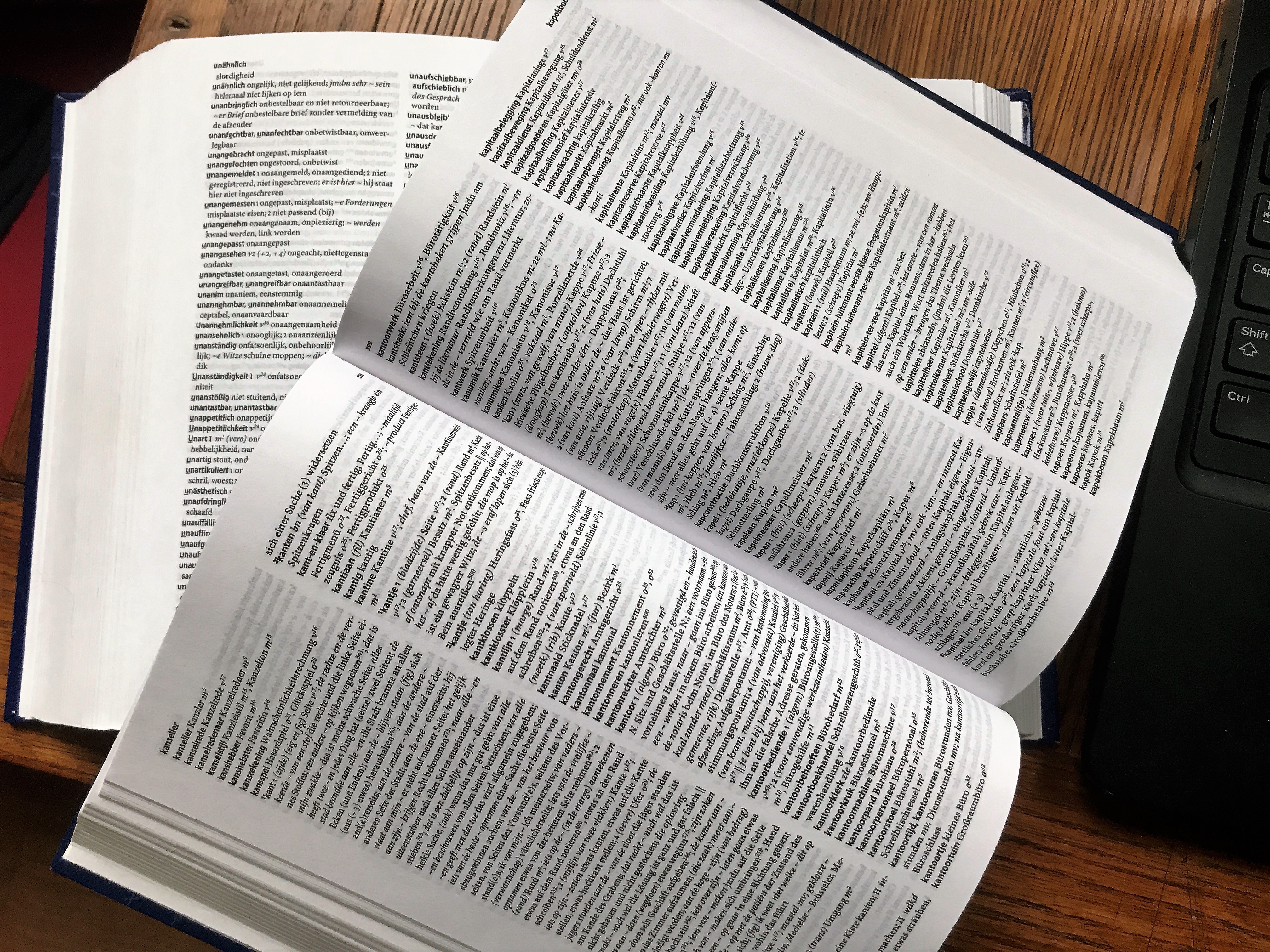 woordenboeken
